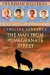 The Man from Pomegranate Street by Caroline Lawrence cover