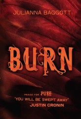 Burn by Julianna Baggott cover