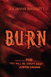 Burn by Julianna Baggott cover