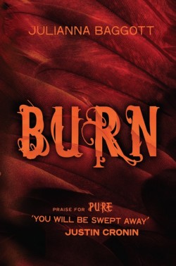 Burn by Julianna Baggott cover