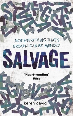 Salvage Keren David cover