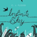 Infinite Sky by C J Flood cover